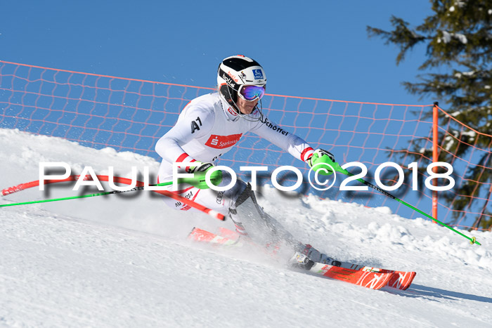 Int. Deutsche Meisterschaft Slalom 25.03.2018