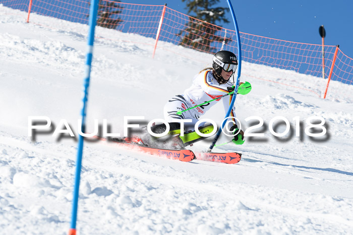 Int. Deutsche Meisterschaft Slalom 25.03.2018