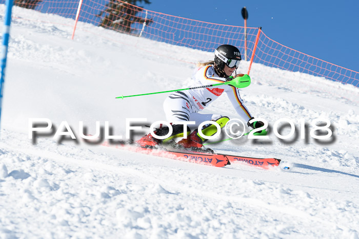 Int. Deutsche Meisterschaft Slalom 25.03.2018