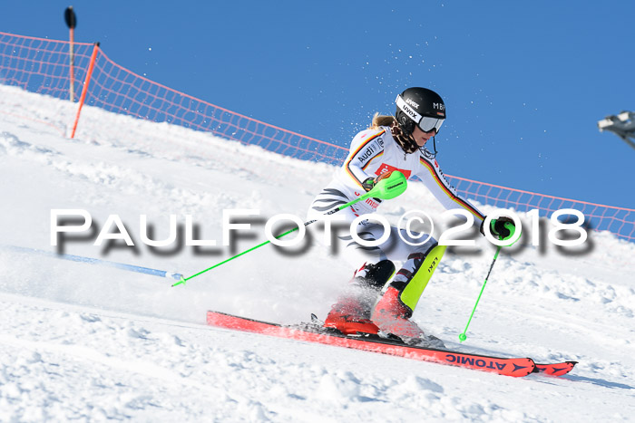 Int. Deutsche Meisterschaft Slalom 25.03.2018