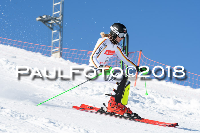 Int. Deutsche Meisterschaft Slalom 25.03.2018