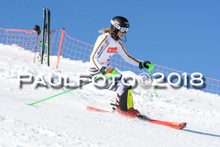 Int. Deutsche Meisterschaft Slalom 25.03.2018