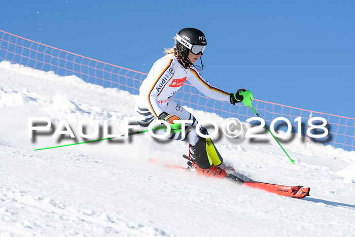 Int. Deutsche Meisterschaft Slalom 25.03.2018