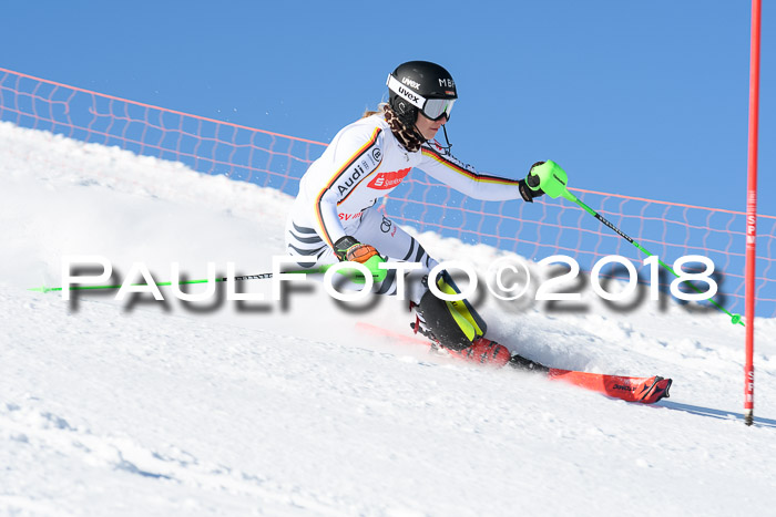 Int. Deutsche Meisterschaft Slalom 25.03.2018