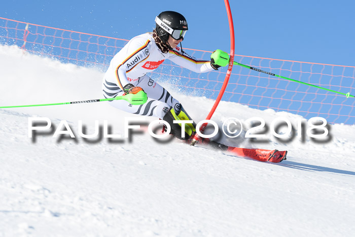 Int. Deutsche Meisterschaft Slalom 25.03.2018