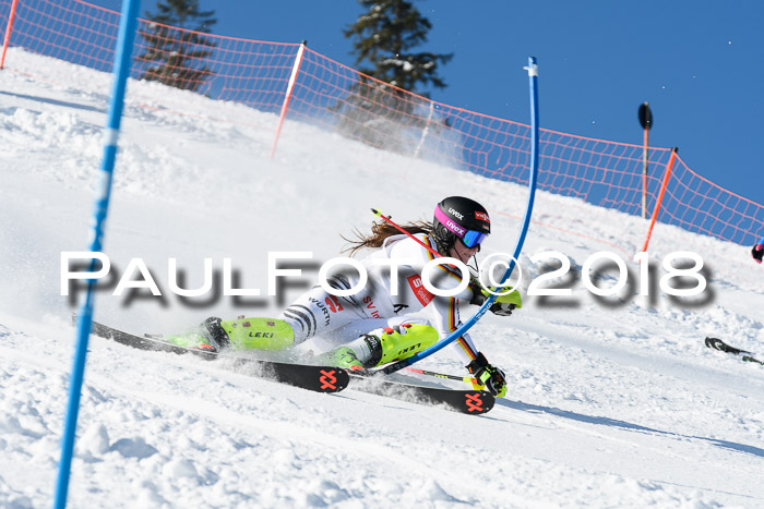 Int. Deutsche Meisterschaft Slalom 25.03.2018