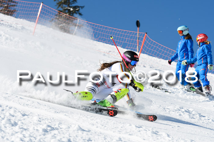 Int. Deutsche Meisterschaft Slalom 25.03.2018