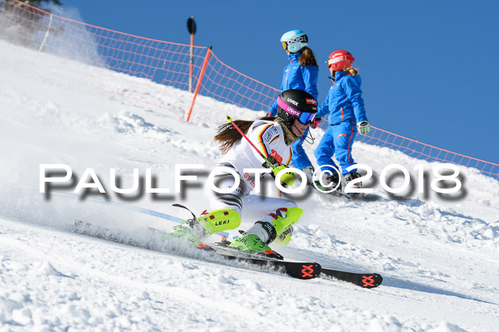 Int. Deutsche Meisterschaft Slalom 25.03.2018