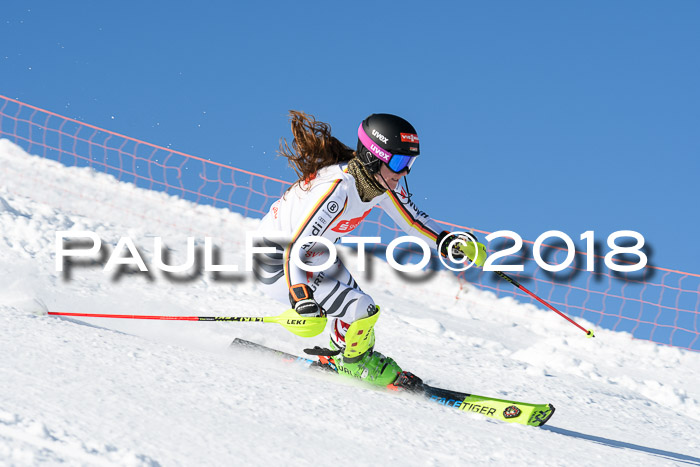 Int. Deutsche Meisterschaft Slalom 25.03.2018