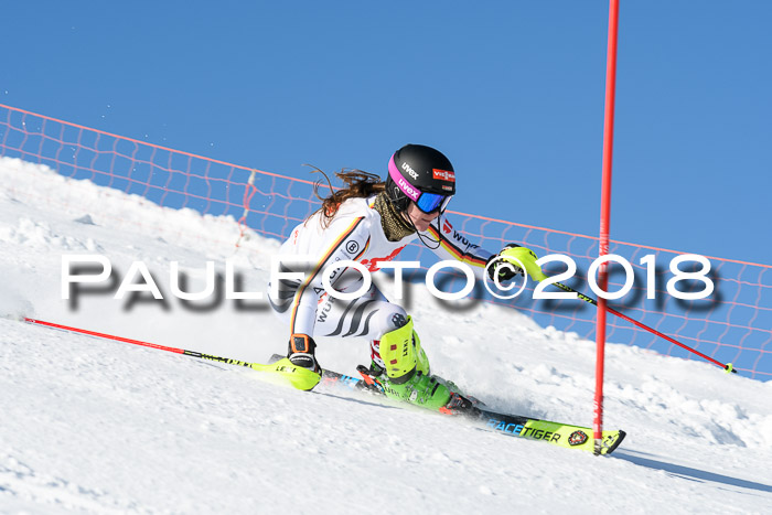 Int. Deutsche Meisterschaft Slalom 25.03.2018