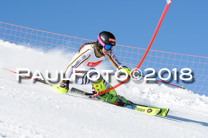 Int. Deutsche Meisterschaft Slalom 25.03.2018