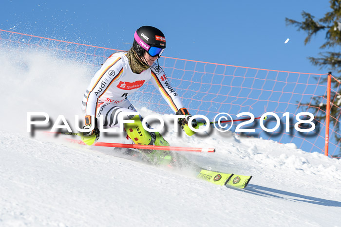 Int. Deutsche Meisterschaft Slalom 25.03.2018