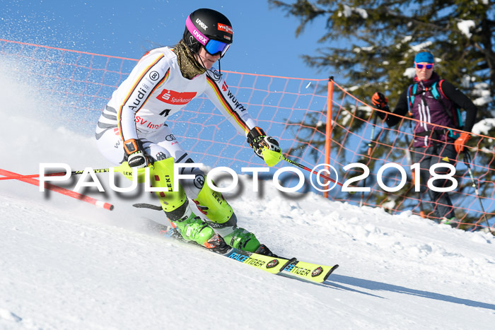 Int. Deutsche Meisterschaft Slalom 25.03.2018