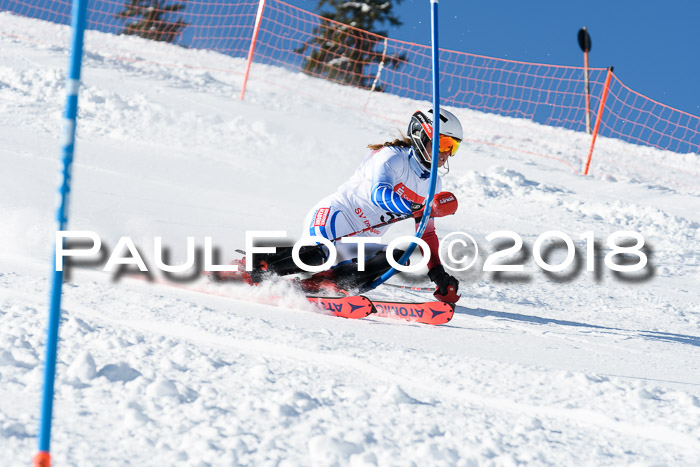 Int. Deutsche Meisterschaft Slalom 25.03.2018