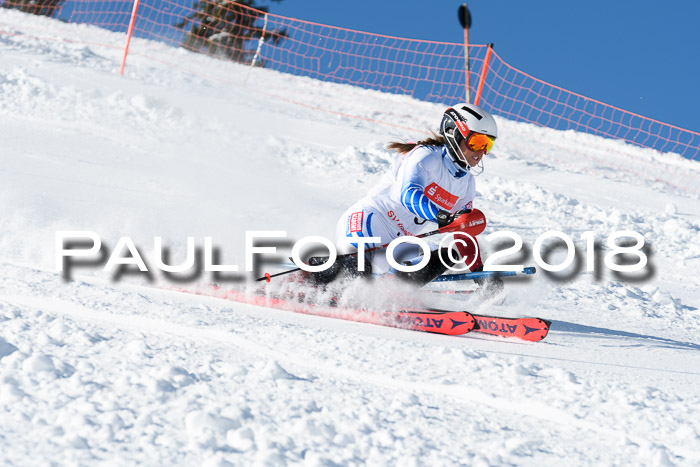 Int. Deutsche Meisterschaft Slalom 25.03.2018