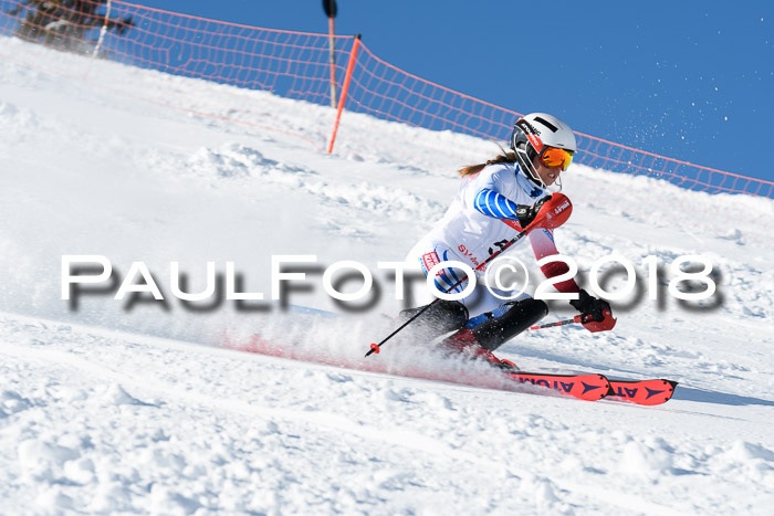 Int. Deutsche Meisterschaft Slalom 25.03.2018