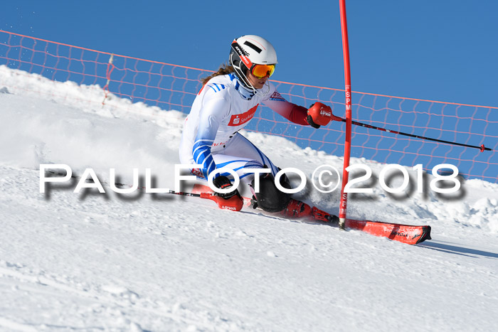 Int. Deutsche Meisterschaft Slalom 25.03.2018