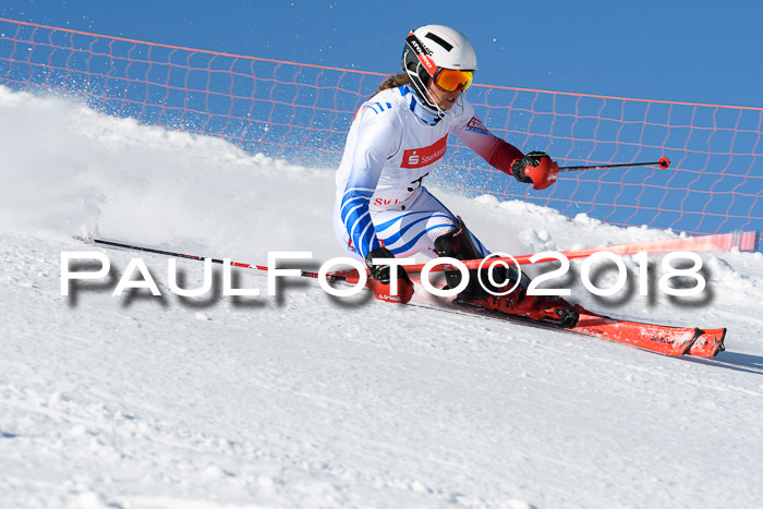 Int. Deutsche Meisterschaft Slalom 25.03.2018