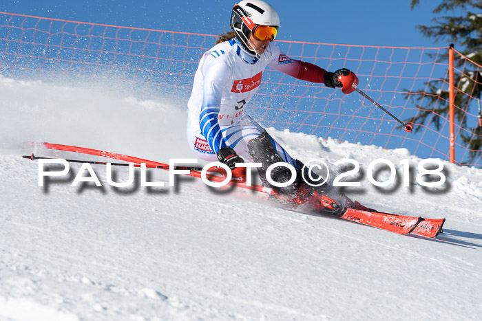 Int. Deutsche Meisterschaft Slalom 25.03.2018