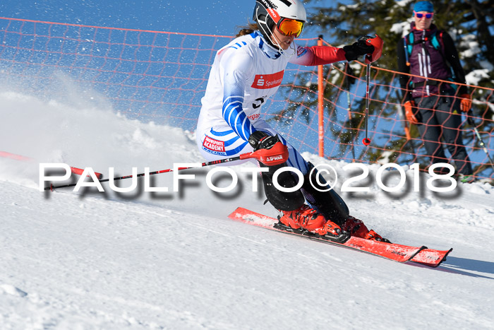 Int. Deutsche Meisterschaft Slalom 25.03.2018