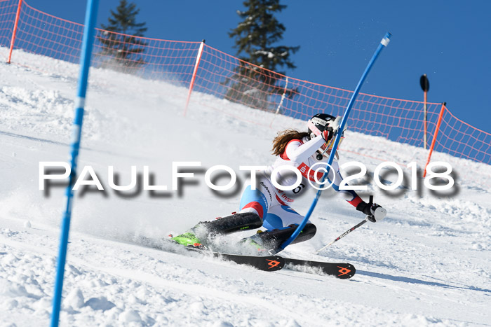 Int. Deutsche Meisterschaft Slalom 25.03.2018