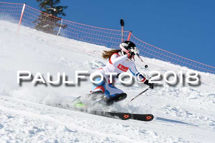 Int. Deutsche Meisterschaft Slalom 25.03.2018