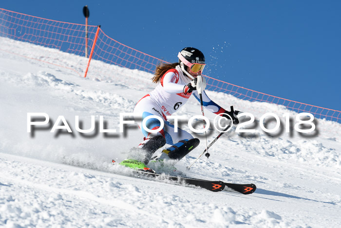 Int. Deutsche Meisterschaft Slalom 25.03.2018