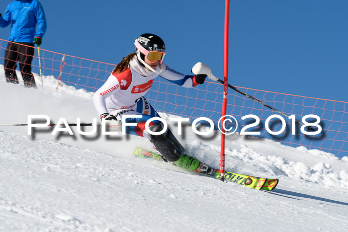 Int. Deutsche Meisterschaft Slalom 25.03.2018