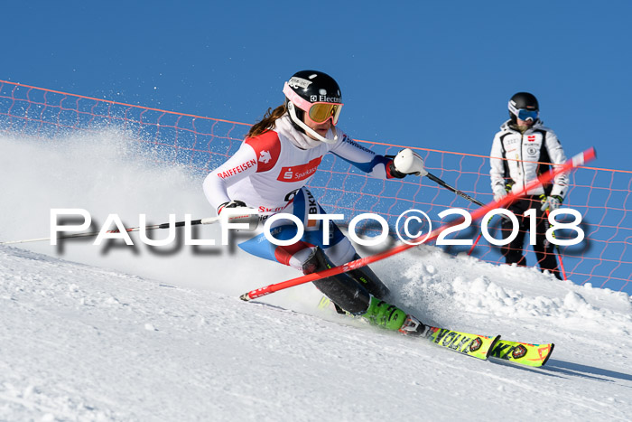 Int. Deutsche Meisterschaft Slalom 25.03.2018