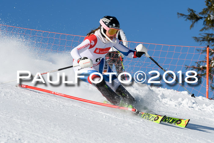 Int. Deutsche Meisterschaft Slalom 25.03.2018