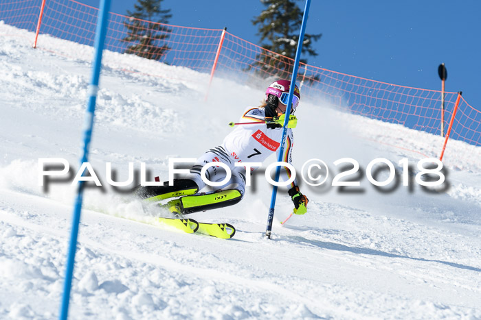 Int. Deutsche Meisterschaft Slalom 25.03.2018