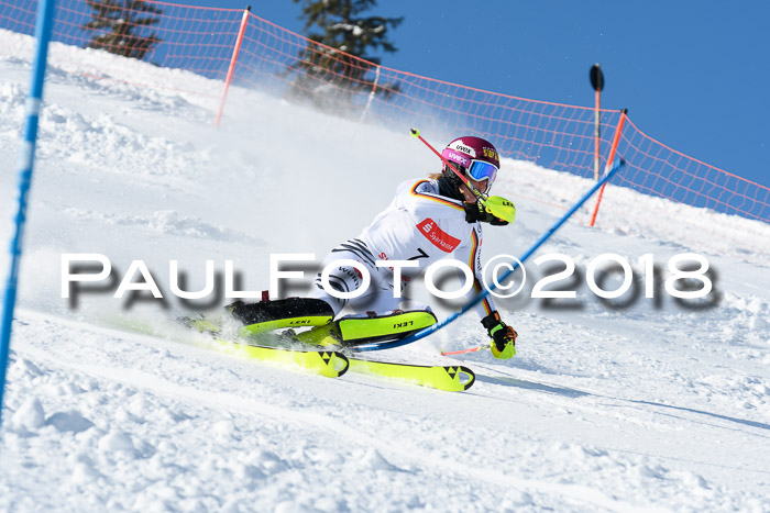 Int. Deutsche Meisterschaft Slalom 25.03.2018