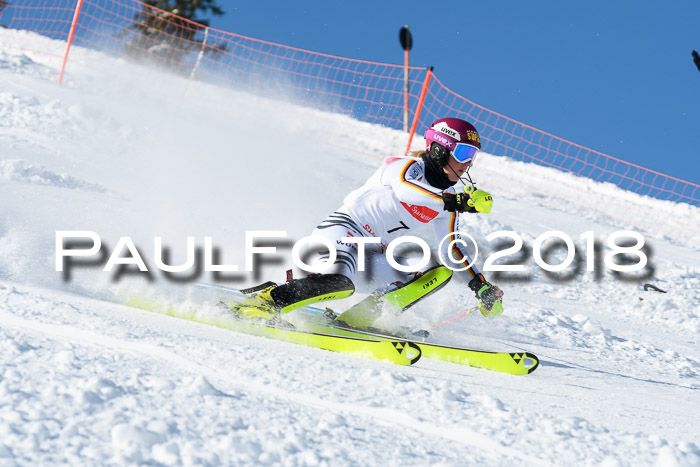 Int. Deutsche Meisterschaft Slalom 25.03.2018