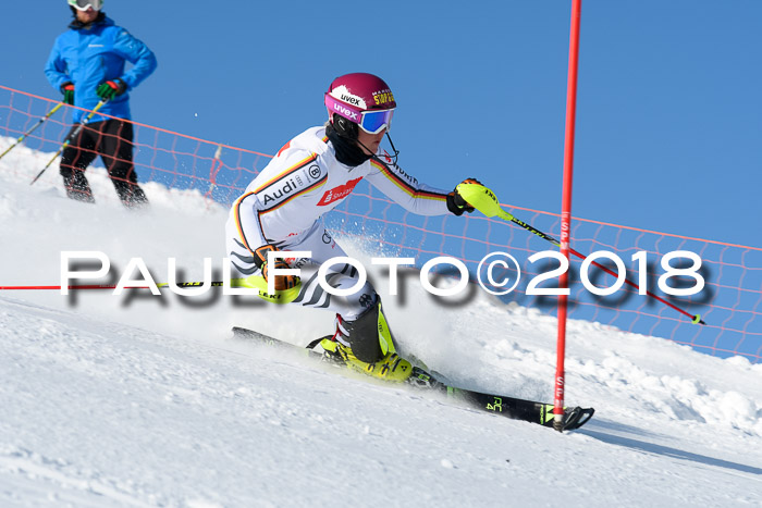 Int. Deutsche Meisterschaft Slalom 25.03.2018