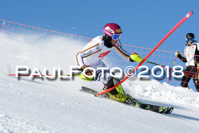 Int. Deutsche Meisterschaft Slalom 25.03.2018