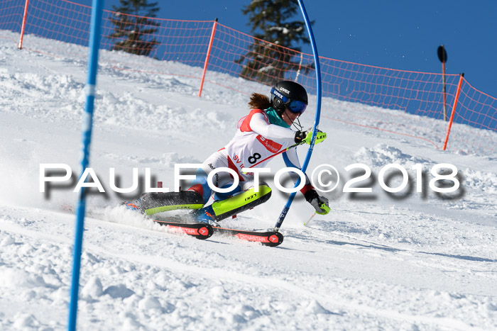 Int. Deutsche Meisterschaft Slalom 25.03.2018