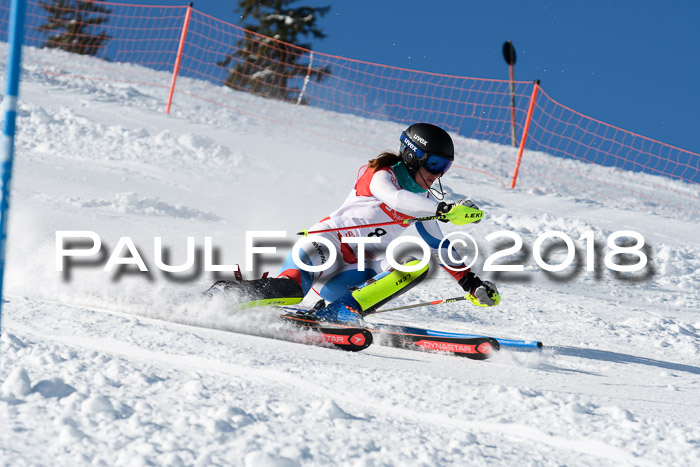 Int. Deutsche Meisterschaft Slalom 25.03.2018