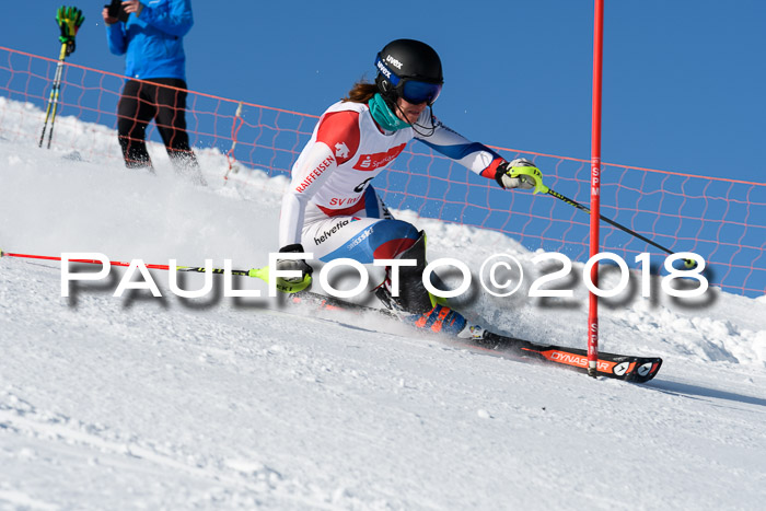 Int. Deutsche Meisterschaft Slalom 25.03.2018