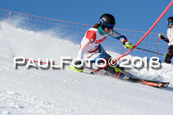 Int. Deutsche Meisterschaft Slalom 25.03.2018