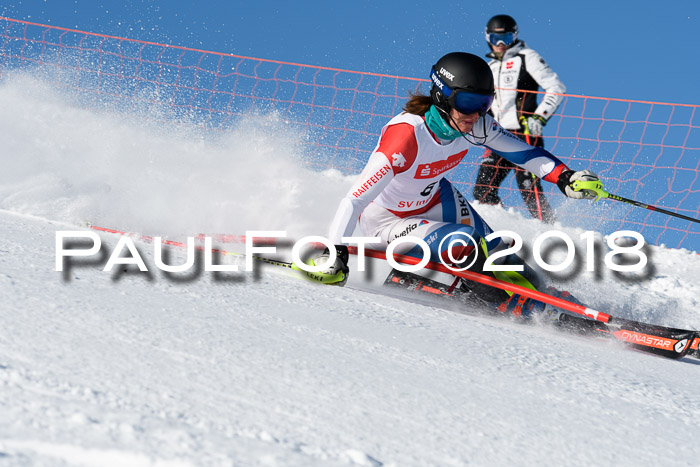 Int. Deutsche Meisterschaft Slalom 25.03.2018