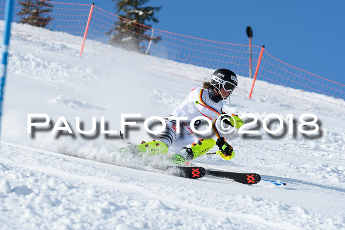 Int. Deutsche Meisterschaft Slalom 25.03.2018