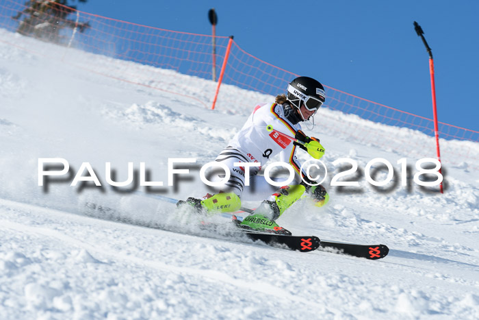 Int. Deutsche Meisterschaft Slalom 25.03.2018