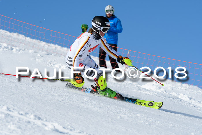 Int. Deutsche Meisterschaft Slalom 25.03.2018