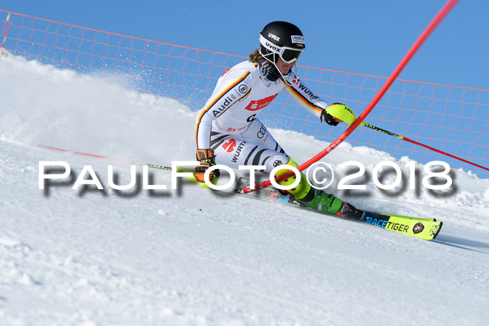 Int. Deutsche Meisterschaft Slalom 25.03.2018