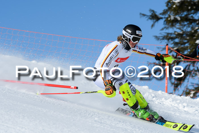 Int. Deutsche Meisterschaft Slalom 25.03.2018