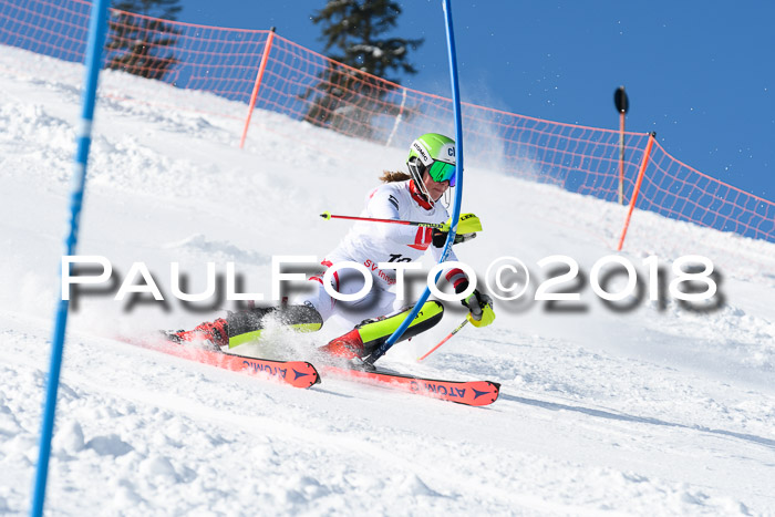 Int. Deutsche Meisterschaft Slalom 25.03.2018