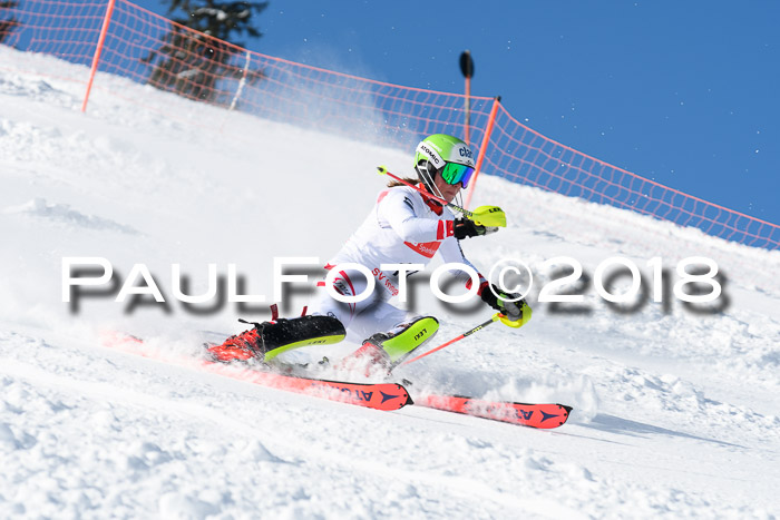 Int. Deutsche Meisterschaft Slalom 25.03.2018