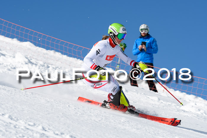 Int. Deutsche Meisterschaft Slalom 25.03.2018