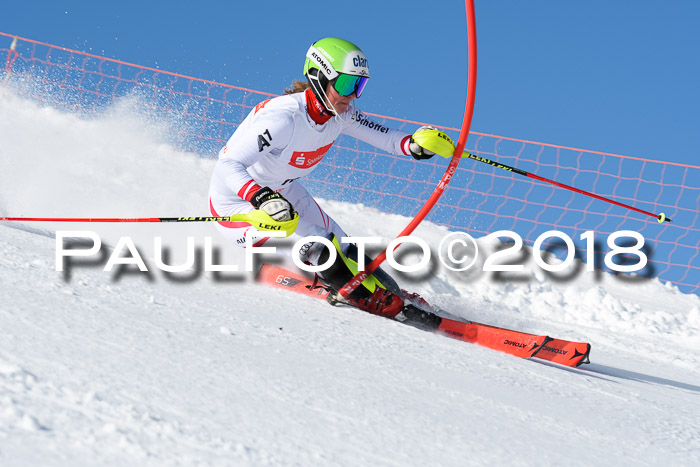 Int. Deutsche Meisterschaft Slalom 25.03.2018