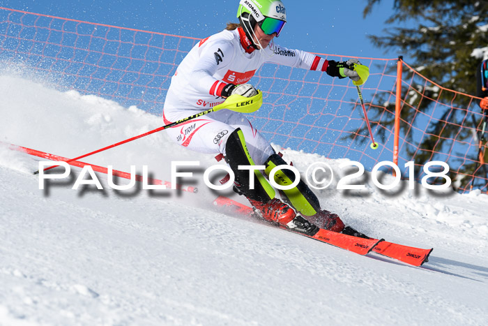 Int. Deutsche Meisterschaft Slalom 25.03.2018